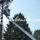 Elagage d'arbre Arcachon avec YOAN BOUCHE